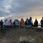 Cambria_0146 (November 04, 2017)